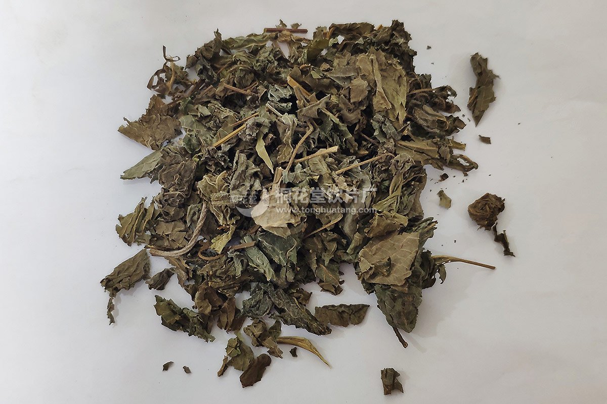 紫苏叶_桐花堂饮片厂